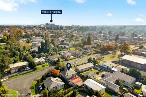 Photo of property in 69 Pine Avenue, Melville, Hamilton, 3206