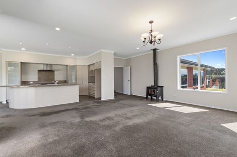 Photo of property in 407 Youngson Road, Whakamarama, Tauranga, 3179