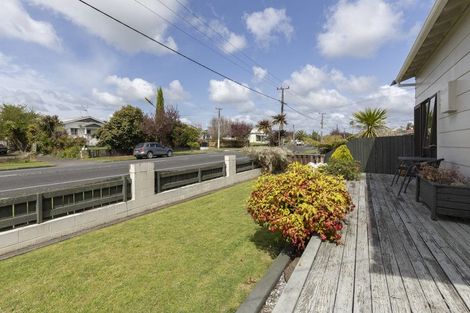 Photo of property in 149 Hakanoa Street, Huntly, 3700