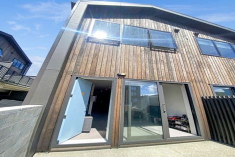 Photo of property in Aniva Terrace, 14 Arney Street, Newtown, Wellington, 6021