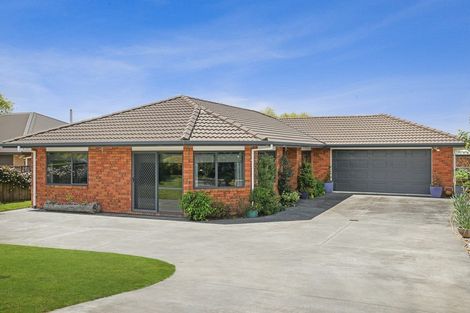 Photo of property in 229 Raeburne Street, Te Awamutu, 3800