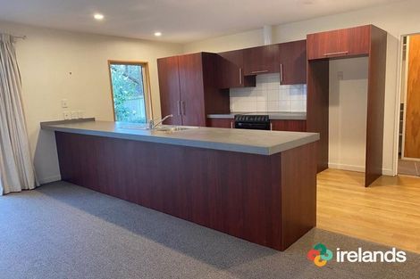 Photo of property in 42a Dominion Avenue, Spreydon, Christchurch, 8024