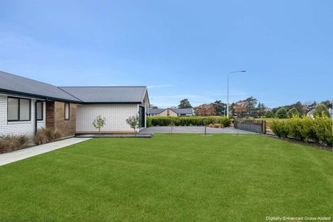 Photo of property in 3 Mansevale Way, Leeston, 7632