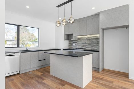 Photo of property in 146u2 Rimu Street, Maeroa, Hamilton, 3200