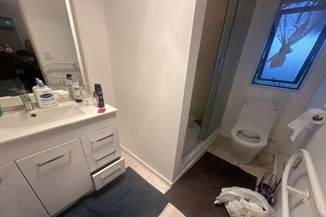 Photo of property in 17 Lolim Place, Favona, Auckland, 2024