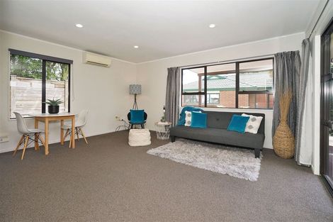 Photo of property in 208a Nixon Street, Hamilton East, Hamilton, 3216