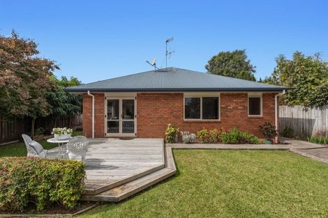 Photo of property in 152c King Street, Whakatane, 3120