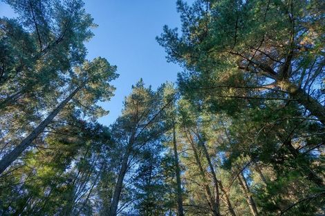 Photo of property in 89 Russell Road, Kaniere, Hokitika, 7811