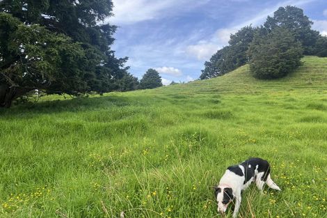 Photo of property in 492 Wairere Road, Paparoa, 0571