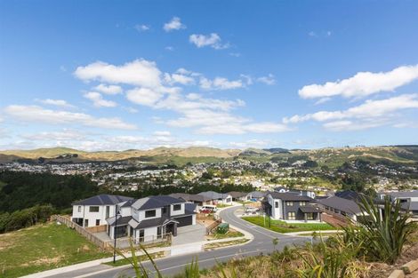 Photo of property in 11 Rotorua Grove, Aotea, Porirua, 5024