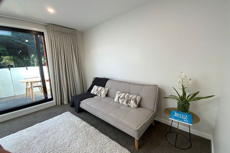 Photo of property in 229u1 Aro Street, Aro Valley, Wellington, 6021