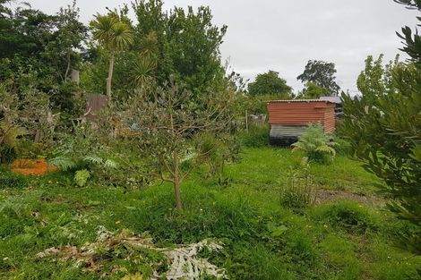 Photo of property in 58 Marumaru Street, Marton, 4710