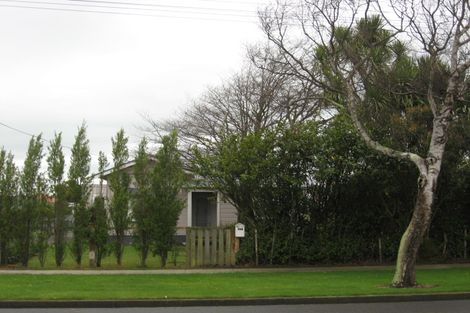 Photo of property in 106 Queen Street West, Levin, 5510