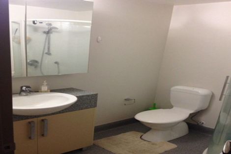 Photo of property in Dual Apartments, 311/142u Vivian Street, Te Aro, Wellington, 6011