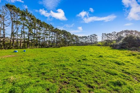 Photo of property in 276 Taiapa Road, Muriwai, 0881