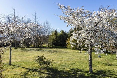 Photo of property in 52 Bayley Road, Fernside, Rangiora, 7471