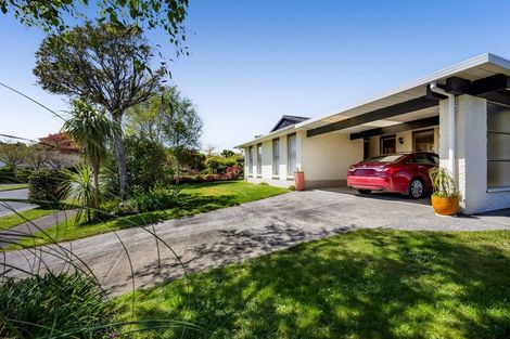Photo of property in 19 Wesley Avenue, Frankleigh Park, New Plymouth, 4310
