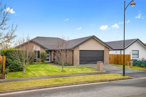 Photo of property in 51 Mokihi Gardens, Hillmorton, Christchurch, 8024