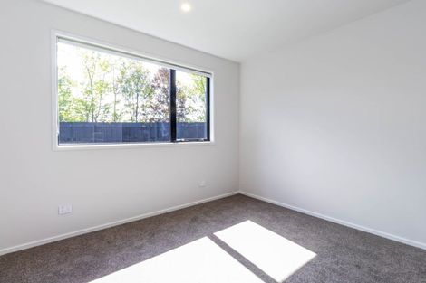 Photo of property in 43 Poplar Street, Gleniti, 7910