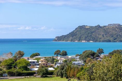 Photo of property in 925a Purangi Road, Cooks Beach, Whitianga, 3591