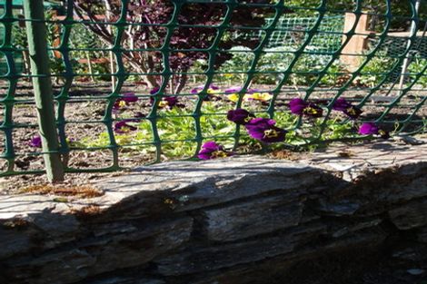 Photo of property in 9 Fastness Crescent, Wanaka, 9305