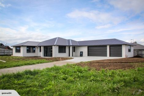 Photo of property in 19 Hoylake Place, Wattle Downs, Auckland, 2103