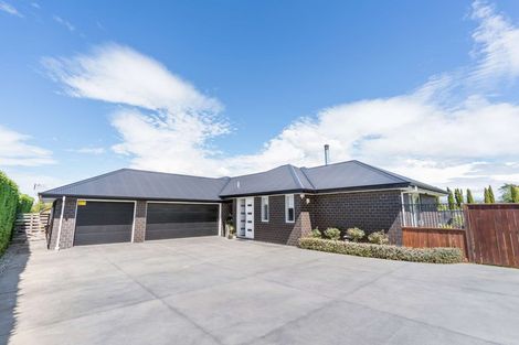 Photo of property in 209 Lowes Road, Rolleston, 7614