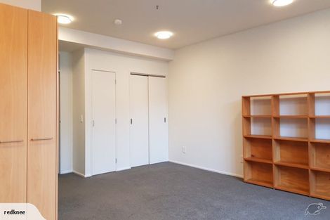 Photo of property in 7/7 Hanson Street, Mount Cook, Wellington, 6021