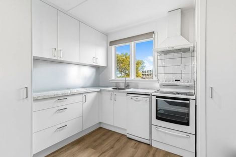Photo of property in 8 Keiss Street, Blenheim, 7201