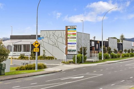 Photo of property in 3 Manor Park Drive, Pyes Pa, Tauranga, 3112