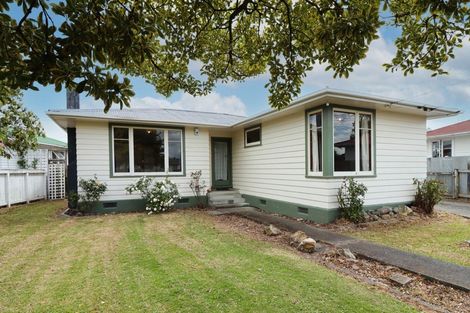 Photo of property in 58 Johnstone Street, Masterton, 5810