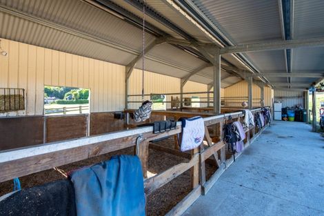 Photo of property in 94 Fergusson Gully Road, Karapiro, Cambridge, 3494