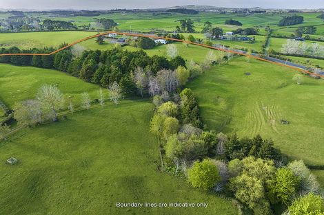 Photo of property in 290 Ostrich Road, Patumahoe, Pukekohe, 2679