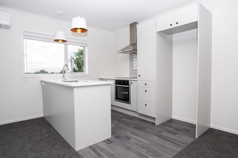 Photo of property in 18u3 Rothwell Street, Dinsdale, Hamilton, 3204