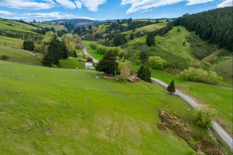 Photo of property in 65 Gabriels Gully Road, Lawrence, 9593