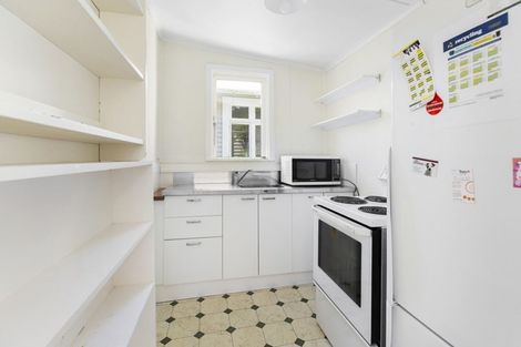 Photo of property in 217 Aro Street, Aro Valley, Wellington, 6021