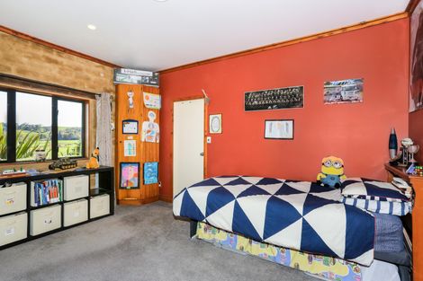 Photo of property in 173 Wily Road, Puni, Pukekohe, 2678