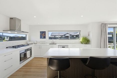 Photo of property in 16 Bonecrusher Street, Lincoln, 7608