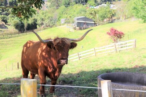 Photo of property in 45a Warner Road, Oropi, Tauranga, 3173