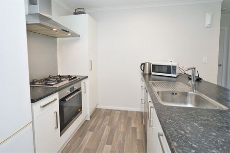 Photo of property in 21u6 Fifth Avenue, Enderley, Hamilton, 3214