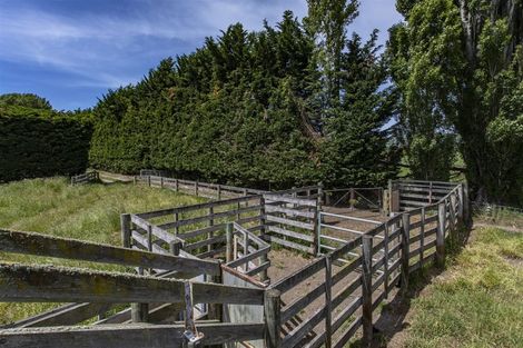 Photo of property in 23 Neeves Road, Kaiapoi, 7691