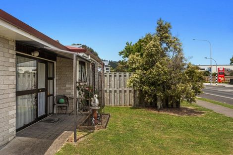 Photo of property in 87 Mcalister Street, Whakatane, 3120