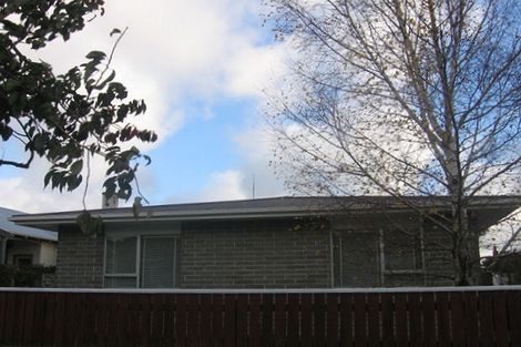 Photo of property in 8a Bryant Street, Takaro, Palmerston North, 4412