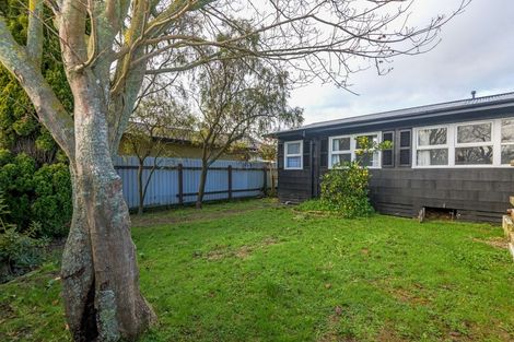 Photo of property in 50 Pahiatua Street, Hokowhitu, Palmerston North, 4410