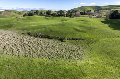 Photo of property in 930 Te Aute Trust Road, Poukawa, 4178