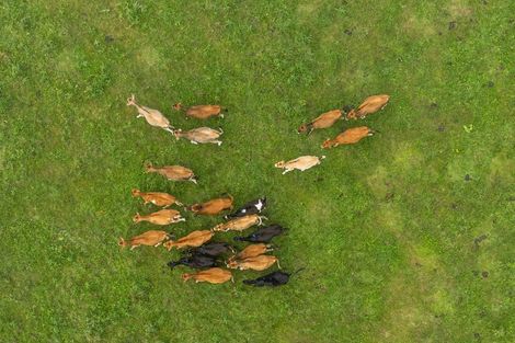 Photo of property in 165 Crean Road, Waihi, 3682