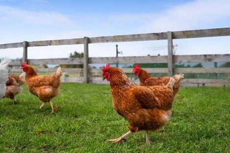 Photo of property in 1184 Oturoa Road, Hamurana, 3072