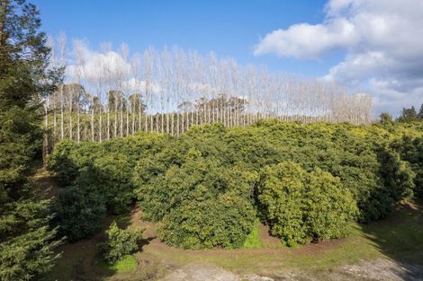 Photo of property in 308 Athenree Road, Athenree, Katikati, 3177
