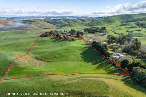 Photo of property in 930 Te Aute Trust Road, Poukawa, 4178