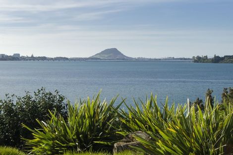 Photo of property in 304 Maungatapu Road, Maungatapu, Tauranga, 3112